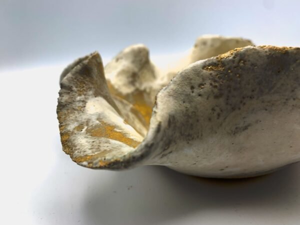 Bol Pequeño Flor de Coral - Image 4